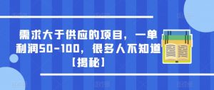 需求大于供应的项目,一单利润50-100,很多人不知道【揭秘】-第一资源网
