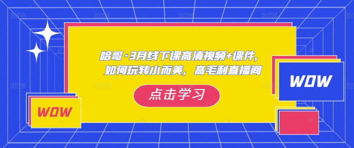 哈哥·3月线下实操课高清视频+课件，如何玩转小而美，高毛利直播间-第一资源网
