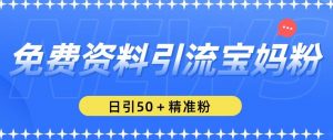 免费资料引流宝妈粉,日引50+精准粉【揭秘】-第一资源网