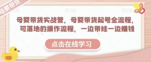 母婴带货实战营,母婴带货起号全流程,可落地的操作流程,一边带娃一边赚钱(附素材)-第一资源网