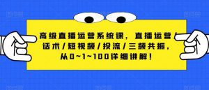 高级直播运营系统课,直播运营/话术/短视频/投流/三频共振,从0~1~100详细讲解!-第一资源网