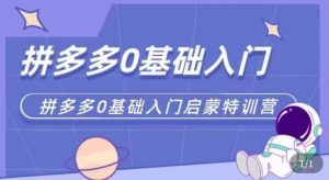 拼多多运营0-1实操特训营,拼多多0基础入门,从基础到进阶的可实操玩法-第一资源网