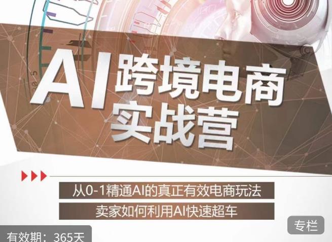 白龙老师·AI跨境电商实战营：从0-1精通Al的真正有效电商玩法，卖家如何利用Al快速超车-第一资源网