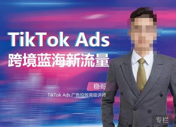 稳哥·如何投出高ROI的TikTok广告，开拓独立站卖家流量新蓝海-第一资源网