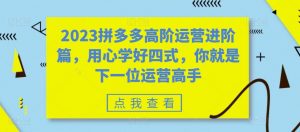 2023拼多多高阶运营进阶篇,用心学好四式,你就是下一位运营高手-第一资源网
