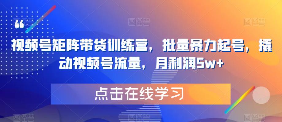 视频号矩阵带货训练营，批量暴力起号，撬动视频号流量，月利润5w+-第一资源网