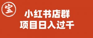 宝哥小红书店群项目,日入过千(图文教程)【揭秘】-第一资源网