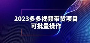 2023多多视频带货项目,可批量操作【保姆级教学】【揭秘】-第一资源网