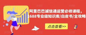 阿里巴巴诚信通运营必修课程,1688专业级知识库/白皮书/全攻略-第一资源网