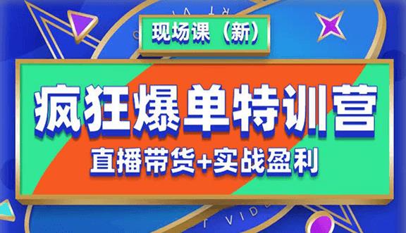 抖音短视频疯狂爆单特训营现场课（新）直播带货+实战案例-第一资源网