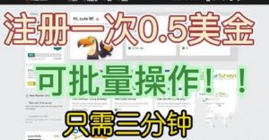 国外项目注册一次0.5美金,只需三分钟无脑操作,可批量同时放大操作,小白工作室福利【揭秘】-第一资源网