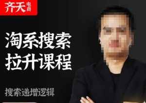 齐天电商·淘系搜索提升课程,搜索递增标准化,动销标准化流程-第一资源网