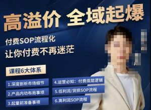 逸风-拼多多高溢价全域起爆,6大课程体系,付费玩法全套实操-第一资源网