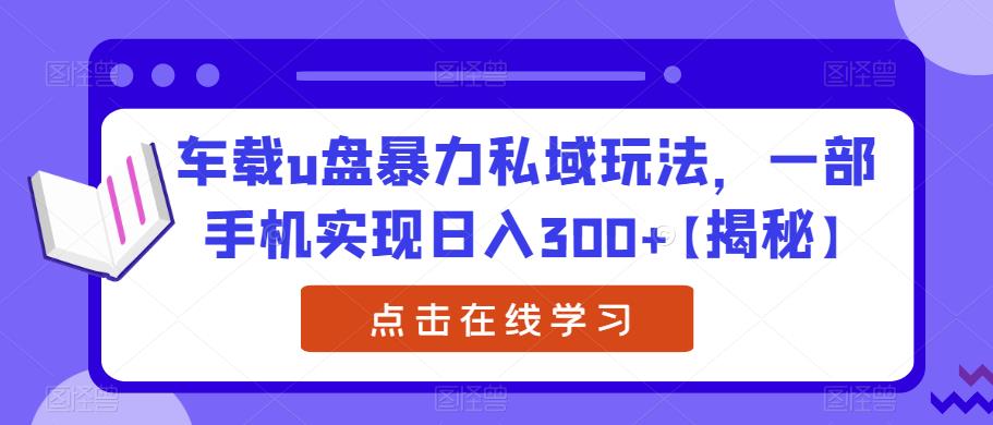 车载u盘暴力私域玩法，一部手机实现日入300+【揭秘】-第一资源网