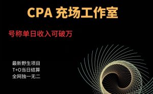 cpa充场工作室,号称单日收入10000+(揭秘)-第一资源网