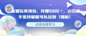 益智玩具项目,月赚5000+,小白新手坚持做就可以达到【揭秘】-第一资源网