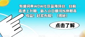 有道词典WOW社区蓝海项目,目前高速上升期,新人小白都可以换取高收益!赶紧布局!【揭秘】-第一资源网