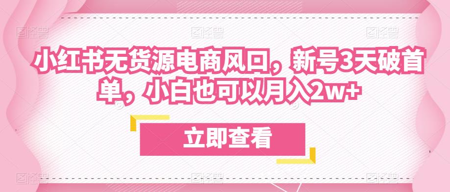众狼电商余文小红书无货源电商风口，新号3天破首单，小白也可以月入2w+-第一资源网