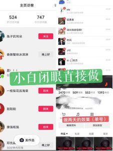 一天做完别一辈子的视频制作最近很火的《1000个野路子信息差》100%过原创【揭秘】-第一资源网