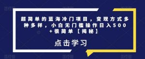 超简单的蓝海冷门项目,变现方式多种多样,小白无门槛操作日入500+很简单【揭秘】-第一资源网