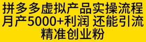拼多多虚拟产品实操流程,月产5000+利润,还能引流精准创业粉【揭秘】-第一资源网