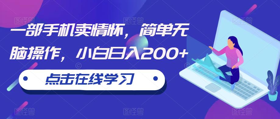 一部手机卖情怀，简单无脑操作，小白日入200+【揭秘】-第一资源网