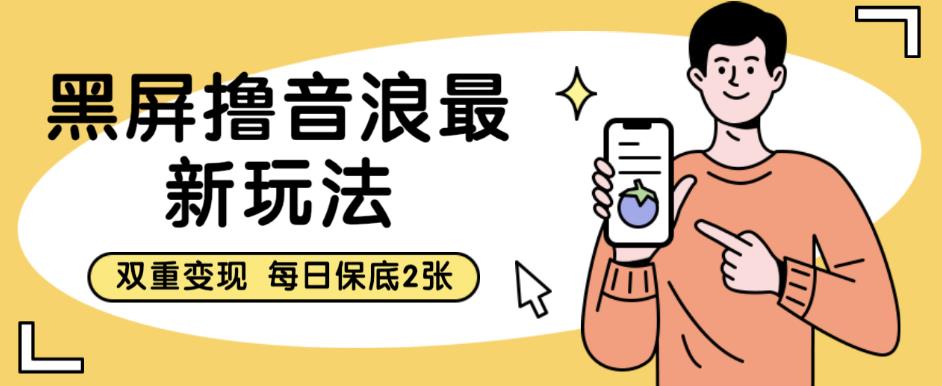 黑屏撸音浪最新玩法，双重变现，每日保底2张【揭秘】-第一资源网