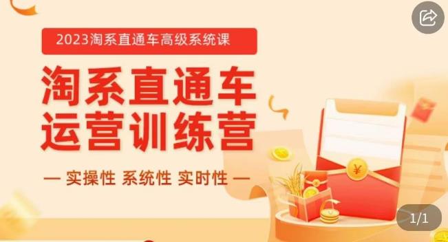 冠东·2023淘系直通车高级系统课，​实操性，系统性，实时性，直通车完整体系教学-第一资源网