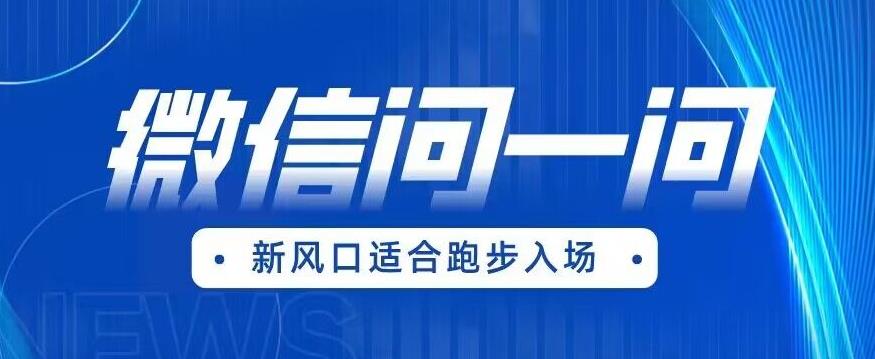 全网首发微信问一问新风口变现项目（价值1999元）【揭秘】-第一资源网