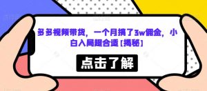 多多视频带货,一个月搞了3w佣金,小白入局超合适【揭秘】-第一资源网
