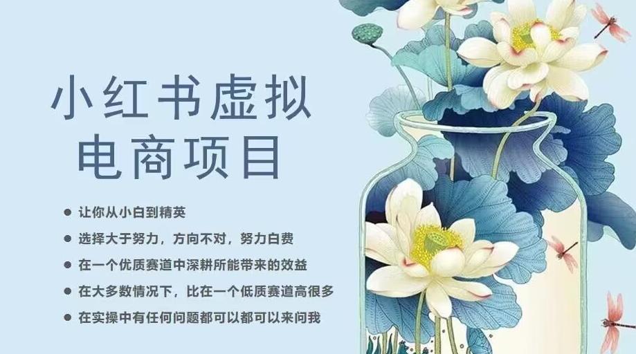 小红书虚拟电商从0到1，让你从小白到精英（20节实操课程）-第一资源网