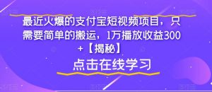 最近火爆的支付宝短视频项目,只需要简单的搬运,1万播放收益300+【揭秘】-第一资源网