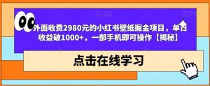 外面收费2980元的小红书壁纸掘金项目,单日收益破1000+,一部手机即可操作【揭秘】-第一资源网