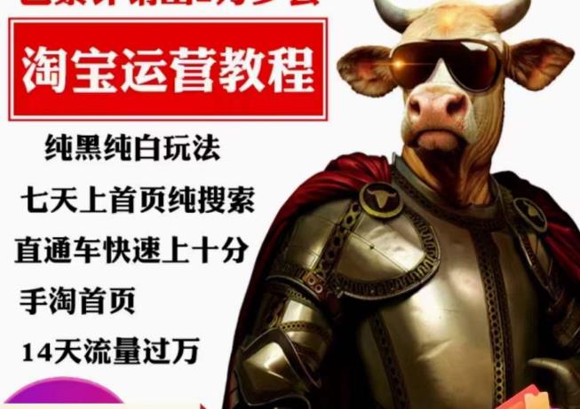 猫老师·淘系算法逆向解密，​纯黑纯白玩法，七天上首页纯搜索，手淘首页14天流量过万-第一资源网