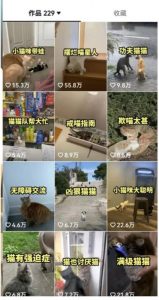 拆解:抖音盘点类中视频变现副业项目,视频版一条龙大解析分享给你-第一资源网