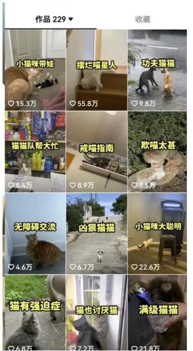 拆解抖音盘点类中视频变现副业项目，视频版一条龙大解析分享给你【视频课程】-第一资源网