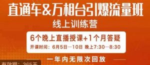 直通车&万相台引爆流量班,6天打通你开直通车·万相台的任督二脉-第一资源网