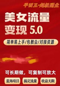 TK美女短视频变现项目无限复制(升级版),全网最高性价比项目【揭秘】-第一资源网