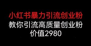 小红书暴力引流创业粉,教你引流高质量创业粉,价值2980【揭秘】-第一资源网