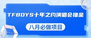 最新蓝海项目,靠最近非常火的TFBOYS十年之约演唱会流量掘金,八月必做的项目【揭秘】-第一资源网