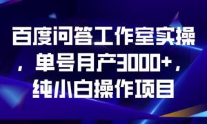 百度问答工作室实操,单号月产3000+,纯小白操作项目【揭秘】-第一资源网
