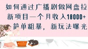 如何通过广播剧做网盘拉新项目一个月收入18000+,简单粗暴,新玩法曝光【揭秘】-第一资源网