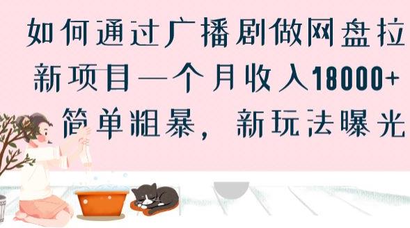 如何通过广播剧做网盘拉新项目一个月收入18000+，简单粗暴，新玩法曝光【揭秘】-第一资源网