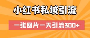 小红书私域引流,一张图片一天引流300+【揭秘】-第一资源网