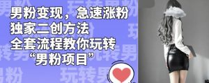男粉变现,急速涨粉独家二创方法,全套流程教你玩转“男粉项目”【揭秘】-第一资源网