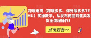 跨境电商(跨境多多、海外版多多TEMU)实操教学,从发布商品到售卖发货全流程操作!-第一资源网