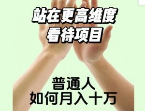 2023最火项目:站在更高维度看待项目,普通人如何月入十万【揭秘】-第一资源网