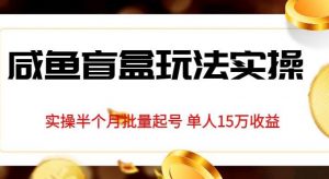 独家首发咸鱼盲盒玩法实操,半个月批量起号单人15万收益【揭秘】-第一资源网