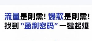 电商盈利精品课:6大盈利密码让产品更好卖,流量是刚需!爆款是刚需!找到”盈利密码”一键起爆-第一资源网