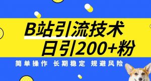 B站引流技术:每天引流200精准粉,简单操作,长期稳定,规避风险-第一资源网